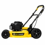 Walk-Behind Lawn Mower