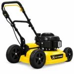 Walk-Behind Lawn Mower